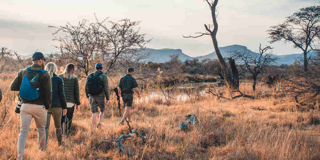 walking safari, marataba explorers camp, marataba reserve, south africa