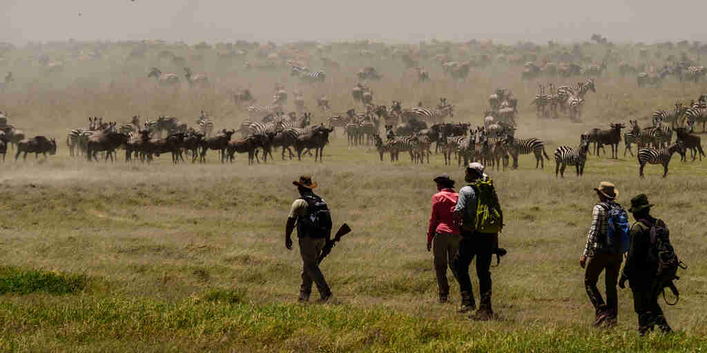 walking safari, wayo trekking fly camp, the serengeti, tanzania