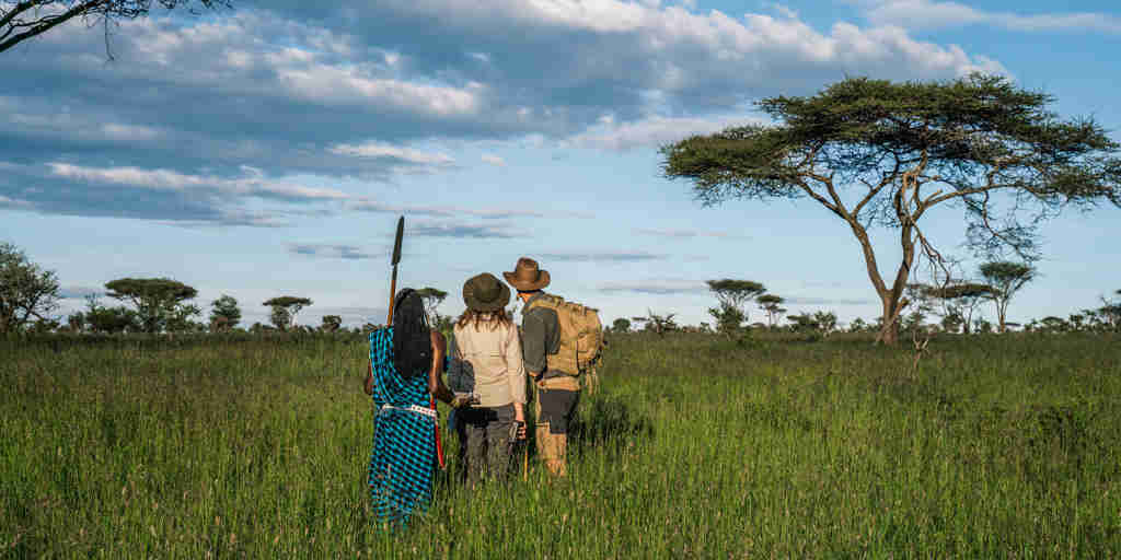 walking safari, lemala ngorongoro tented camp, ngorongoro crater, tanzania