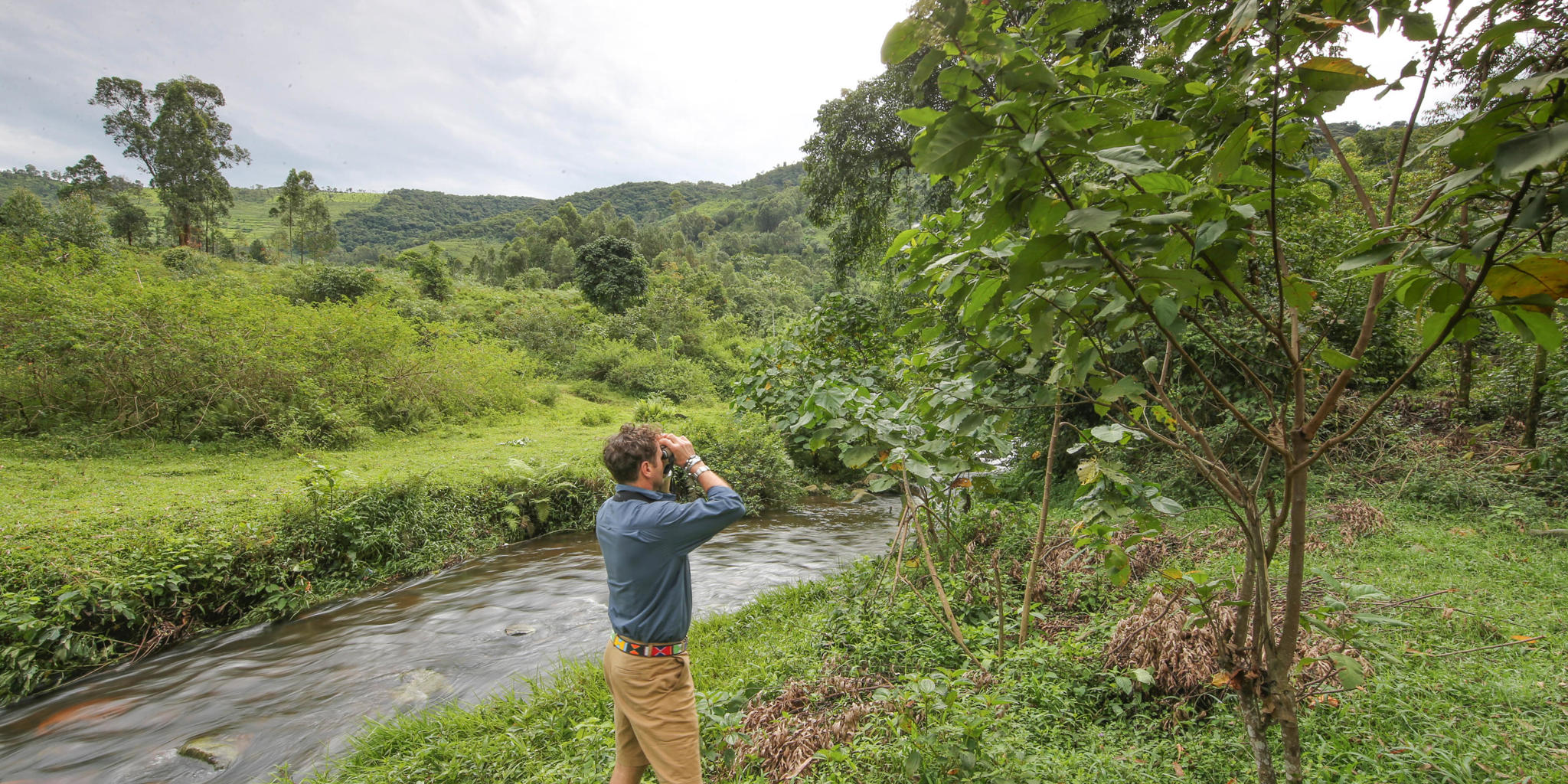 mahogany river client looking to forest 2