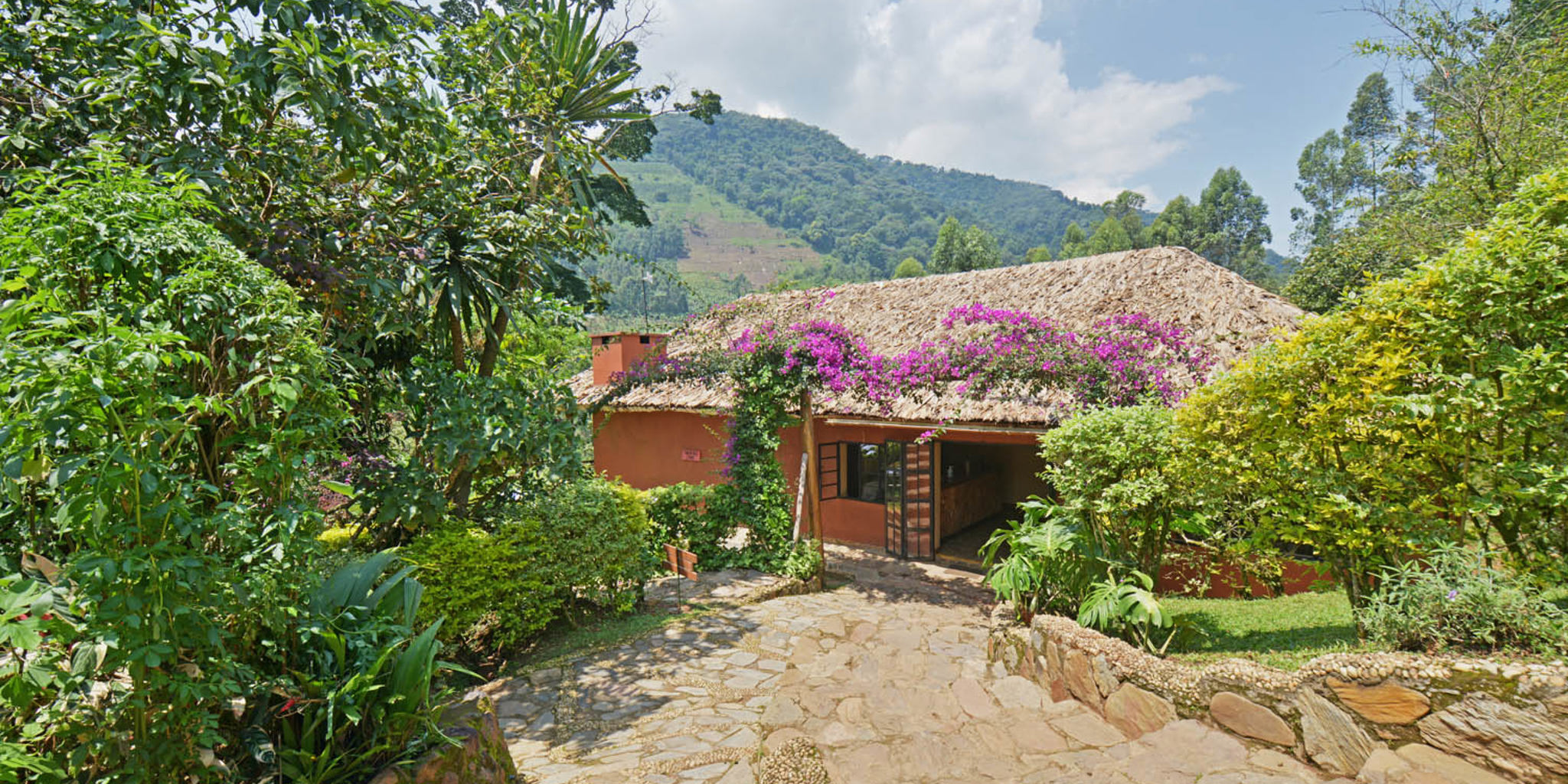 Entrance main building, mahogany springs, bwindi impenetrable forest, uganda