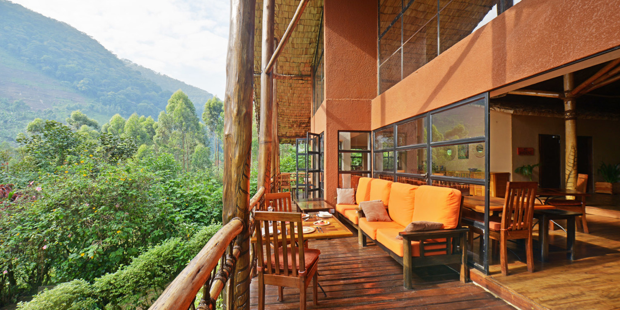 main terrace, mahogany springs, bwindi impenetrable forest, uganda