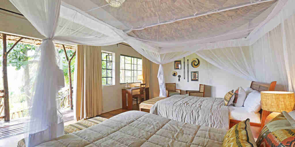 twin double room and view, mahogany springs, bwindi impenetrable forest, uganda