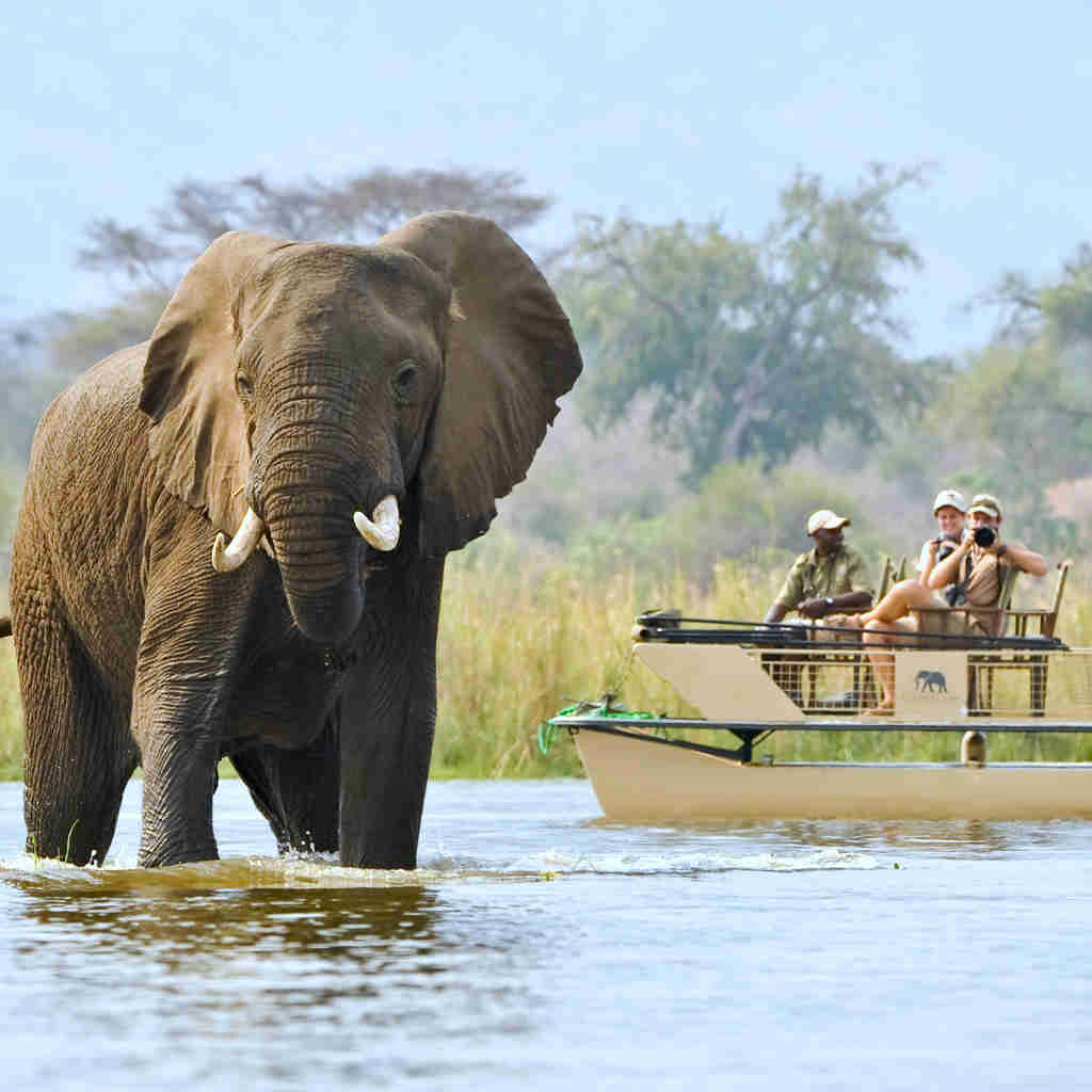 elephant boating, zambias hidden luxuries, trips