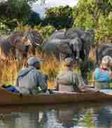 canoeing, the founders of zambias walking safaris, trips