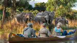 canoeing, the founders of zambias walking safaris, trips