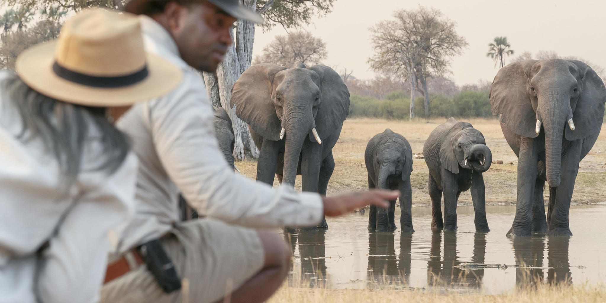 waterfalls and walking safaris, elephant herd
