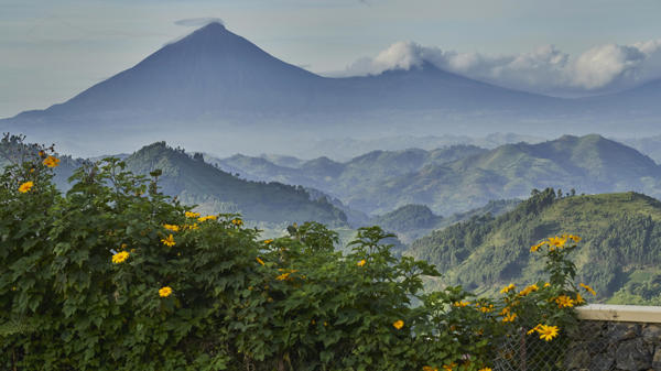 nkuringo bwindi