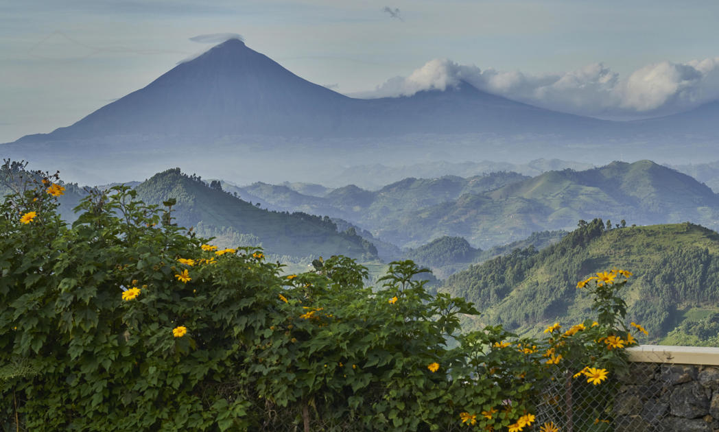 nkuringo bwindi