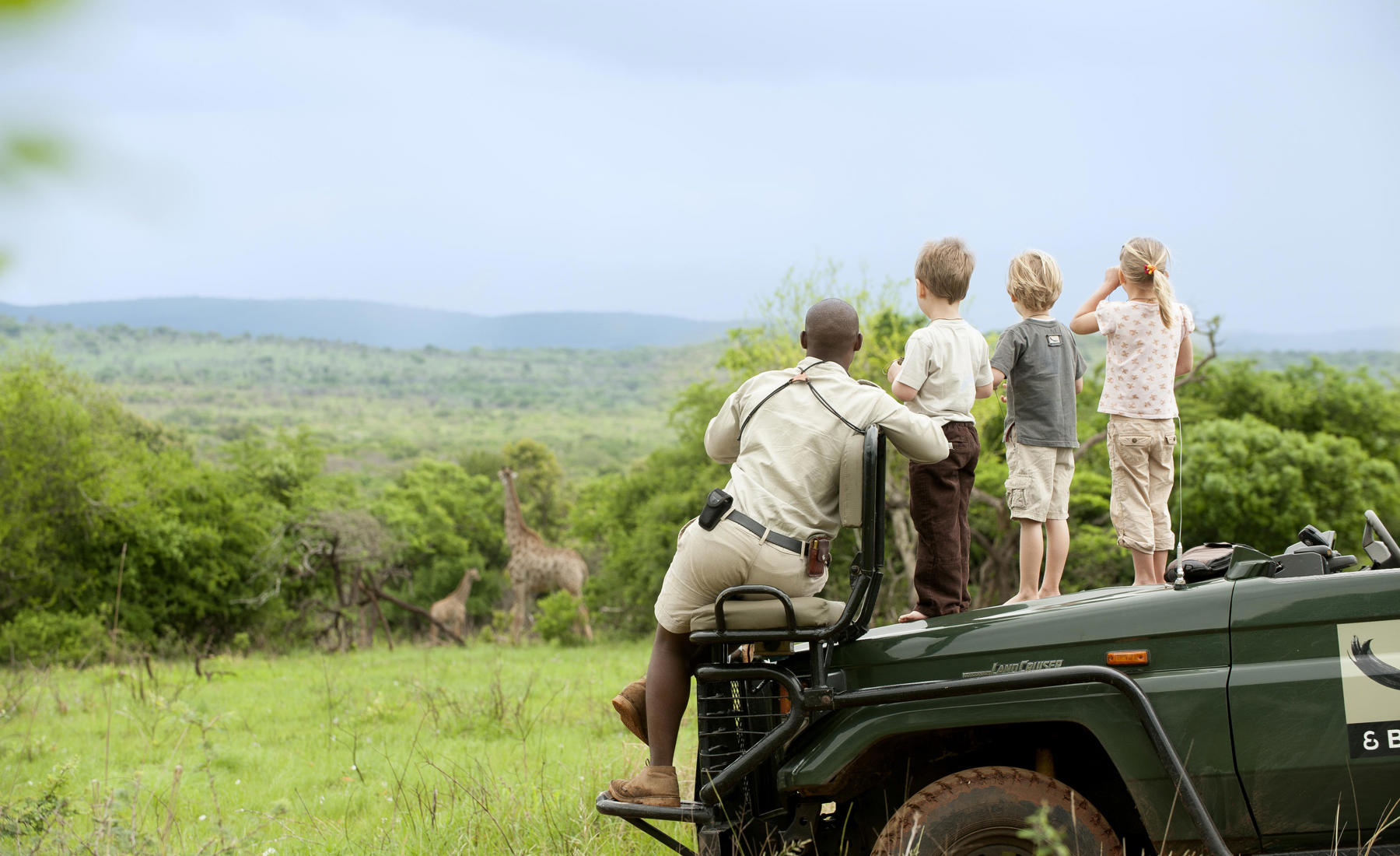 family safari, Phinda Mountain Lodge, south africa