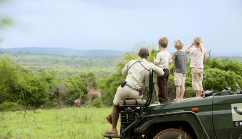 family safari, Phinda Mountain Lodge, south africa