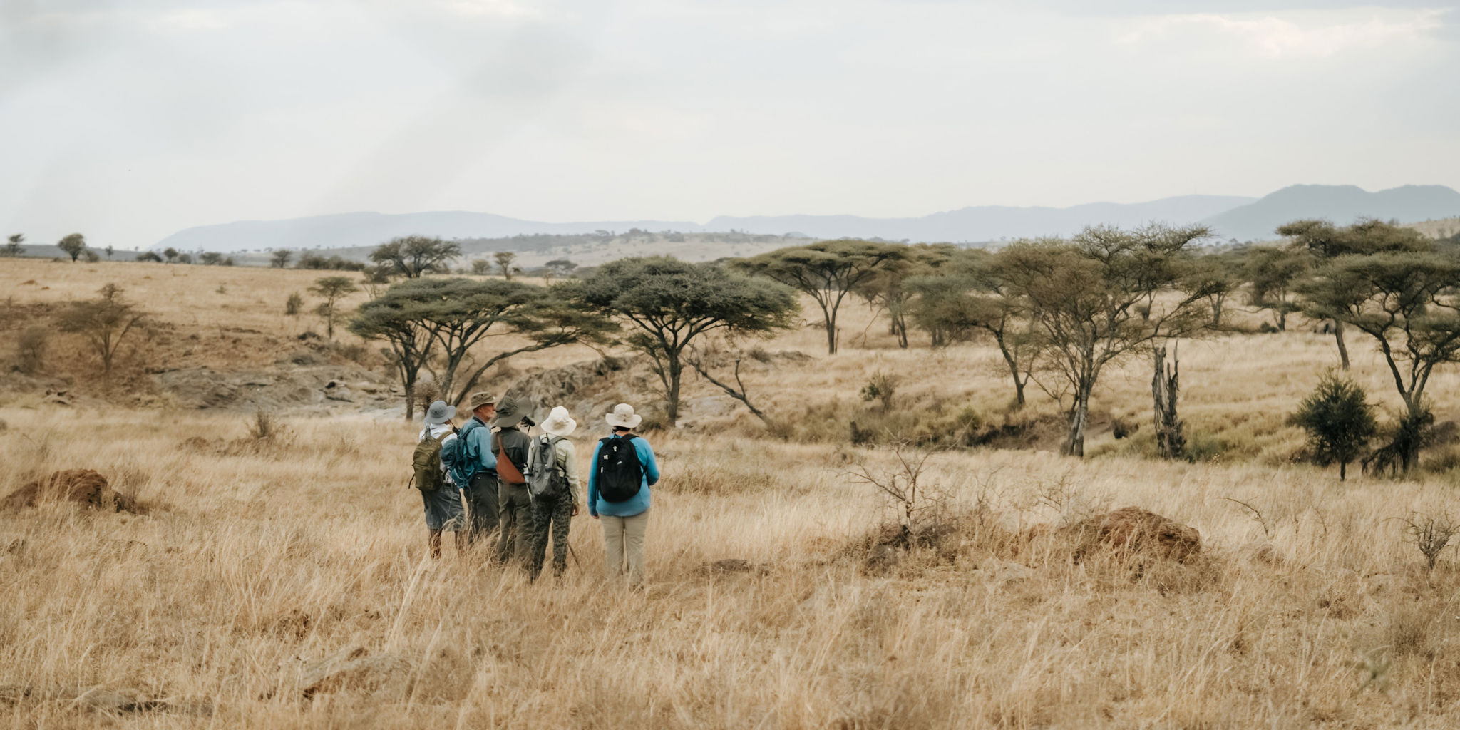 guests, wayo walking camp, the serengeti, tanzania