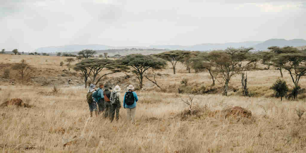 guests, wayo walking camp, the serengeti, tanzania