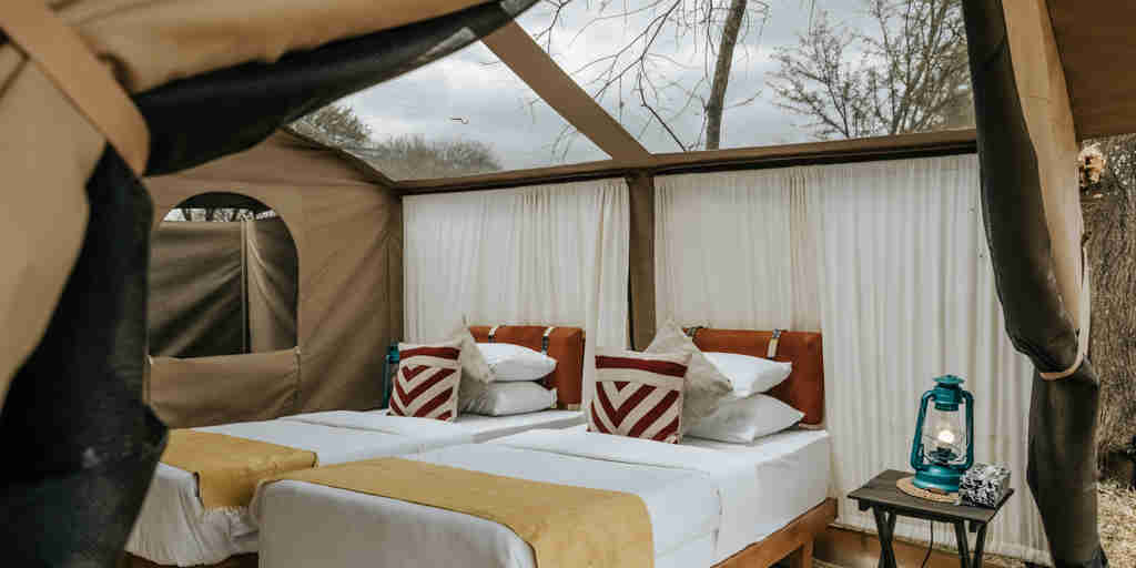 twin tent, wayo walking camp, the serengeti, tanzania