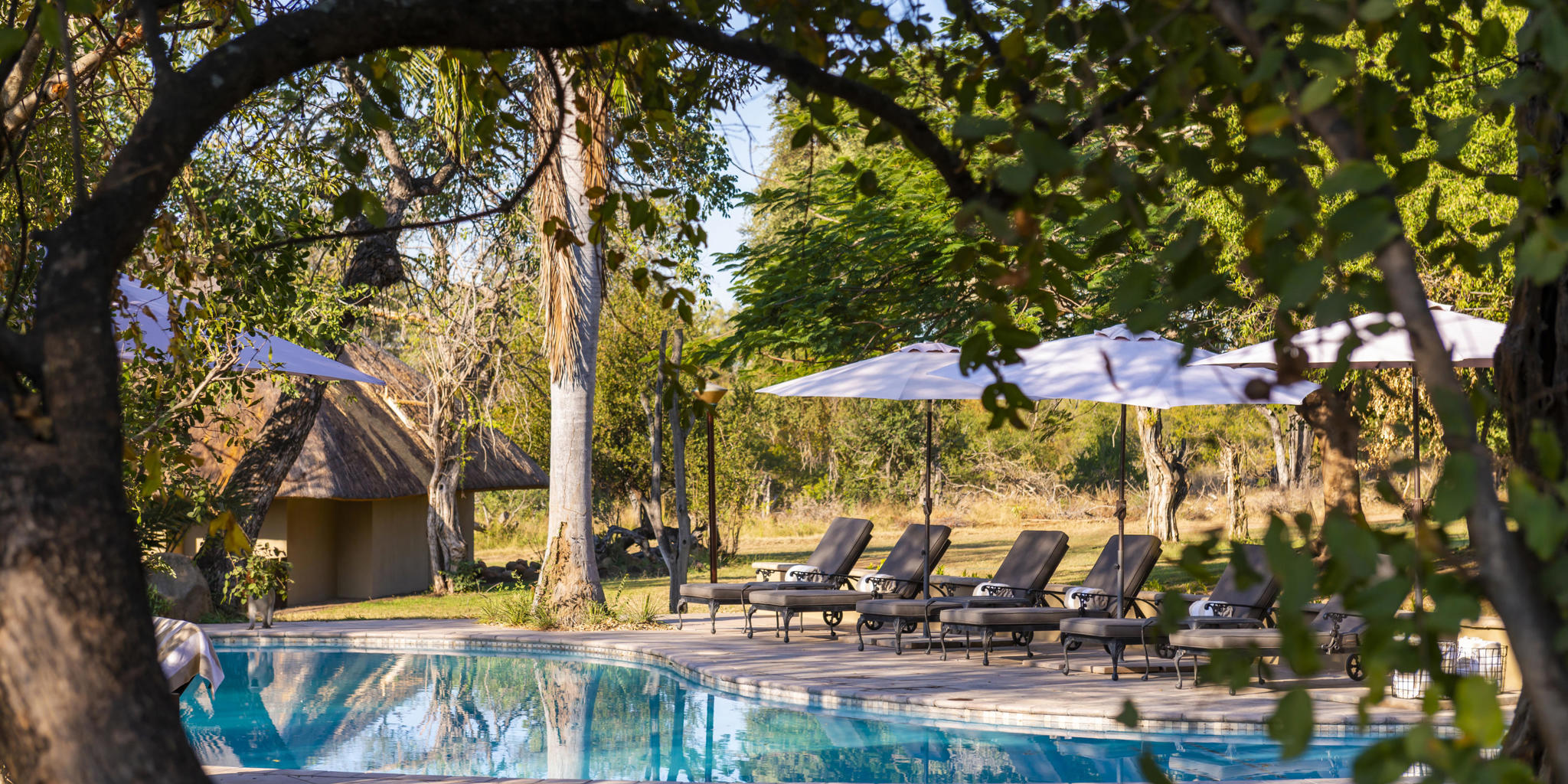 pool,  inyati lodge, sabi sands reserves, south africa