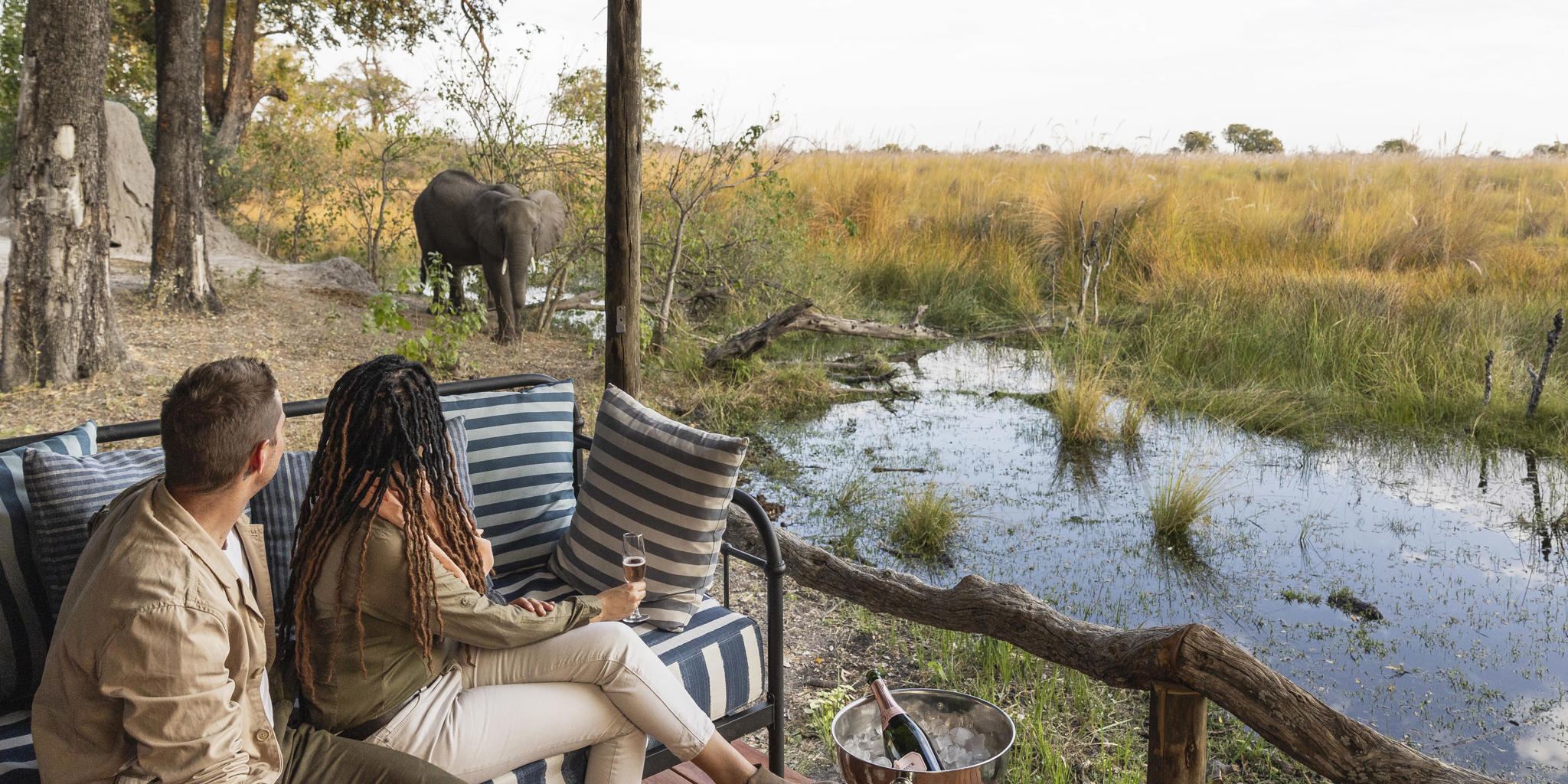 game, shinde footsteps, okavango delta, botswana