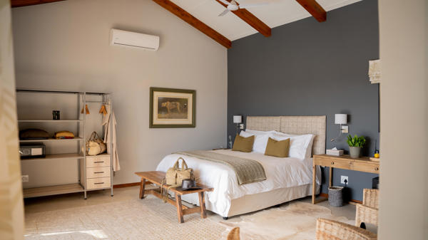 safari room, walkers plains camp, timbavati reserve, south africa