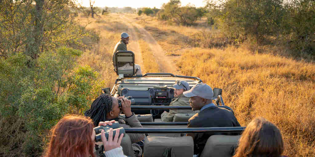 group game drive, walkers plains camp, timbavati reserve, south africa