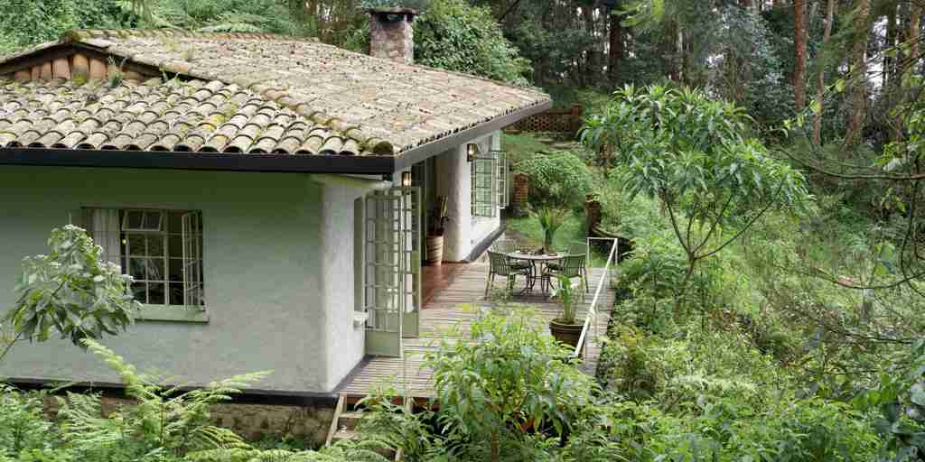 family cottage, Wilderness Sabyinyo, volcanoes national park, rwanda