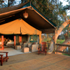 Gunns Camp Okavango Delta Camps in Botswana Yellow Zebra Safaris