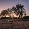 Drinks In River, Sarara Wilderness, Samburu, Kenya