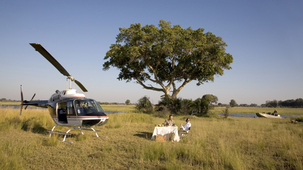 Helicopter Safaris 6