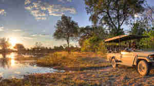 game drive stop, khwai, botswana safaris, africa