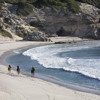 horse safaris, grootbos private nature reserve, south africa