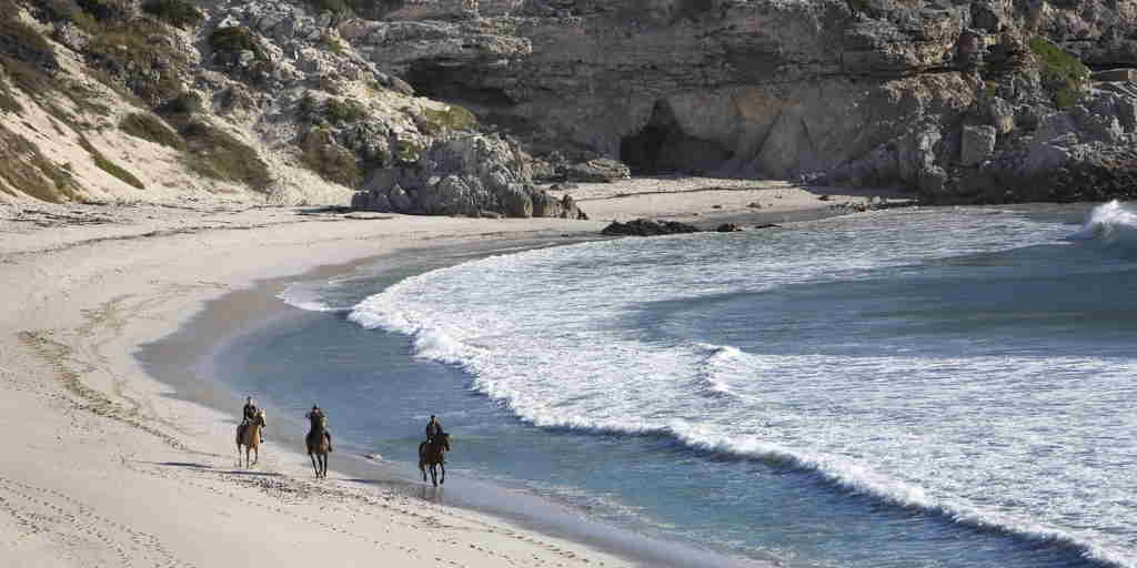 horse safaris, grootbos private nature reserve, south africa