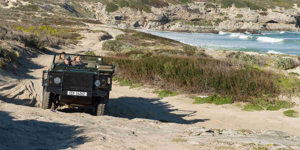 jeep safaris, grootbos private nature reserve, south africa