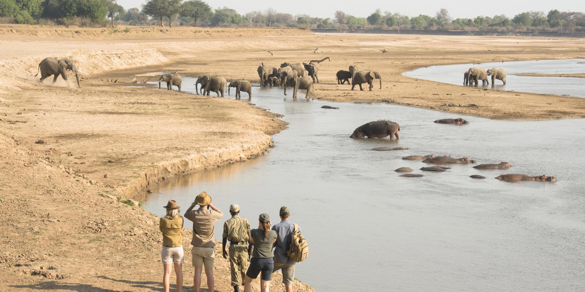 Walking Safaris, Mwamba Bush Camp, South Luangwa, Zambia