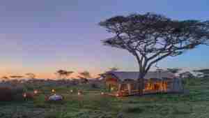 Serengeti Guest Room5