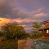 Serengeti Simba Lodge Luxury Tanzania Lodges Yellow Zebra Safaris