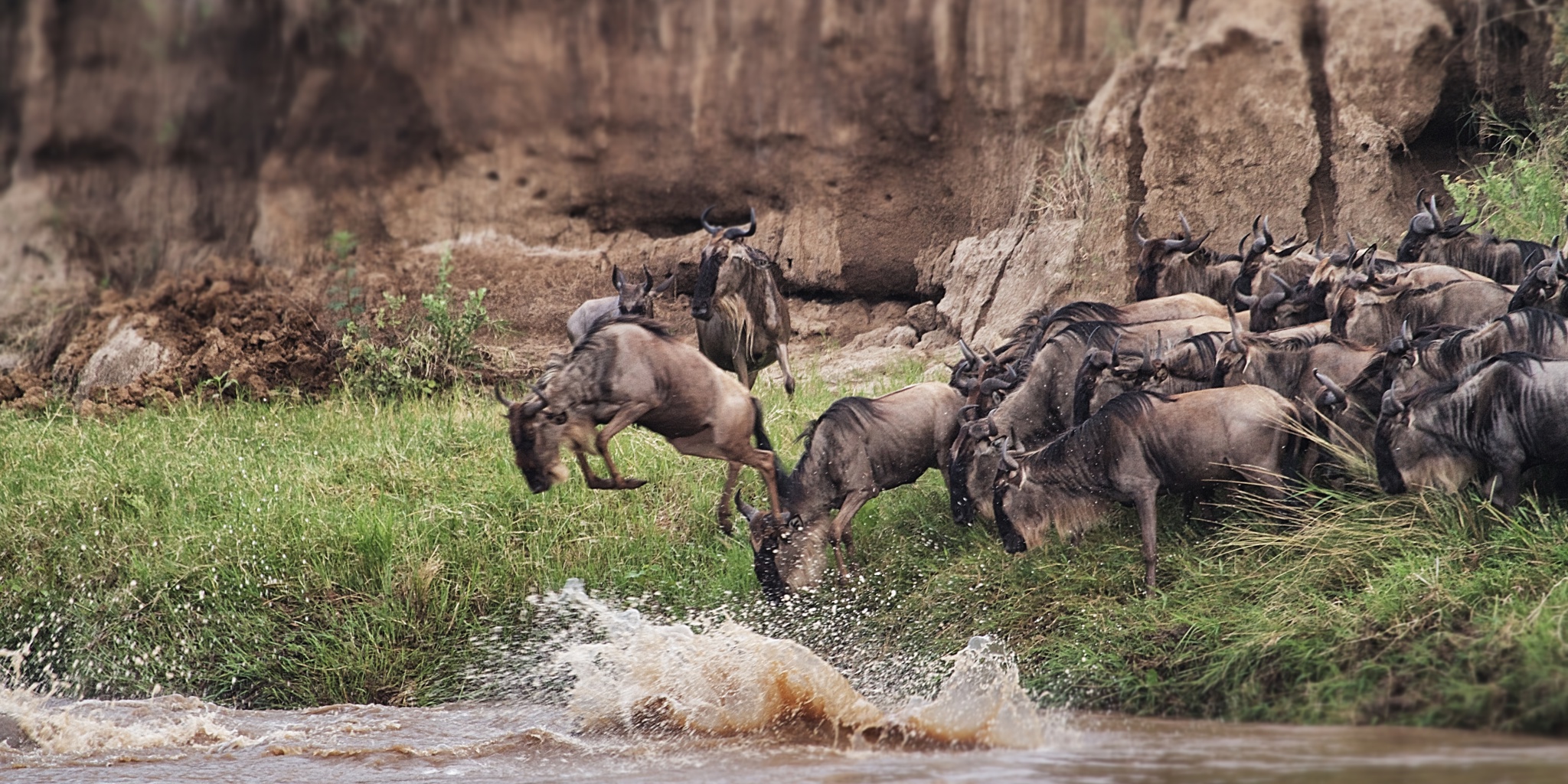 AWS Sept migration a leap of faith