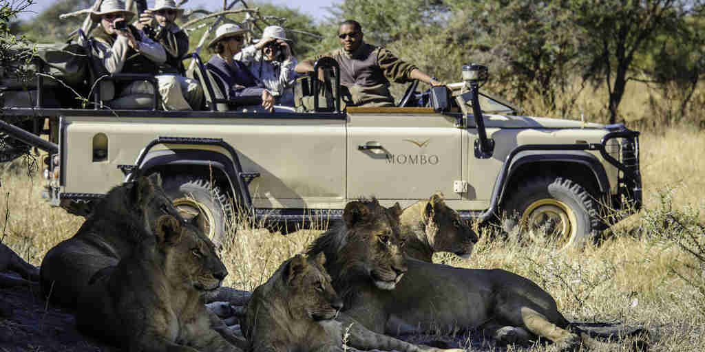 game drive safaris, moremi game reserve, africa vacations