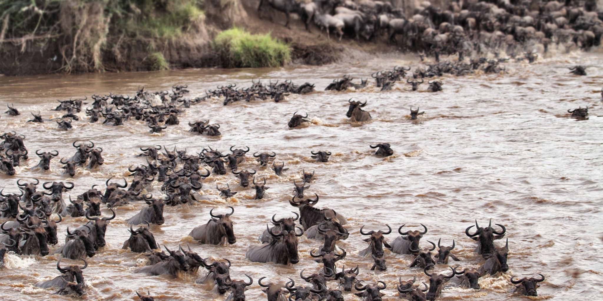 AWS September River Crossing