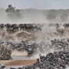 GA dusty crossing