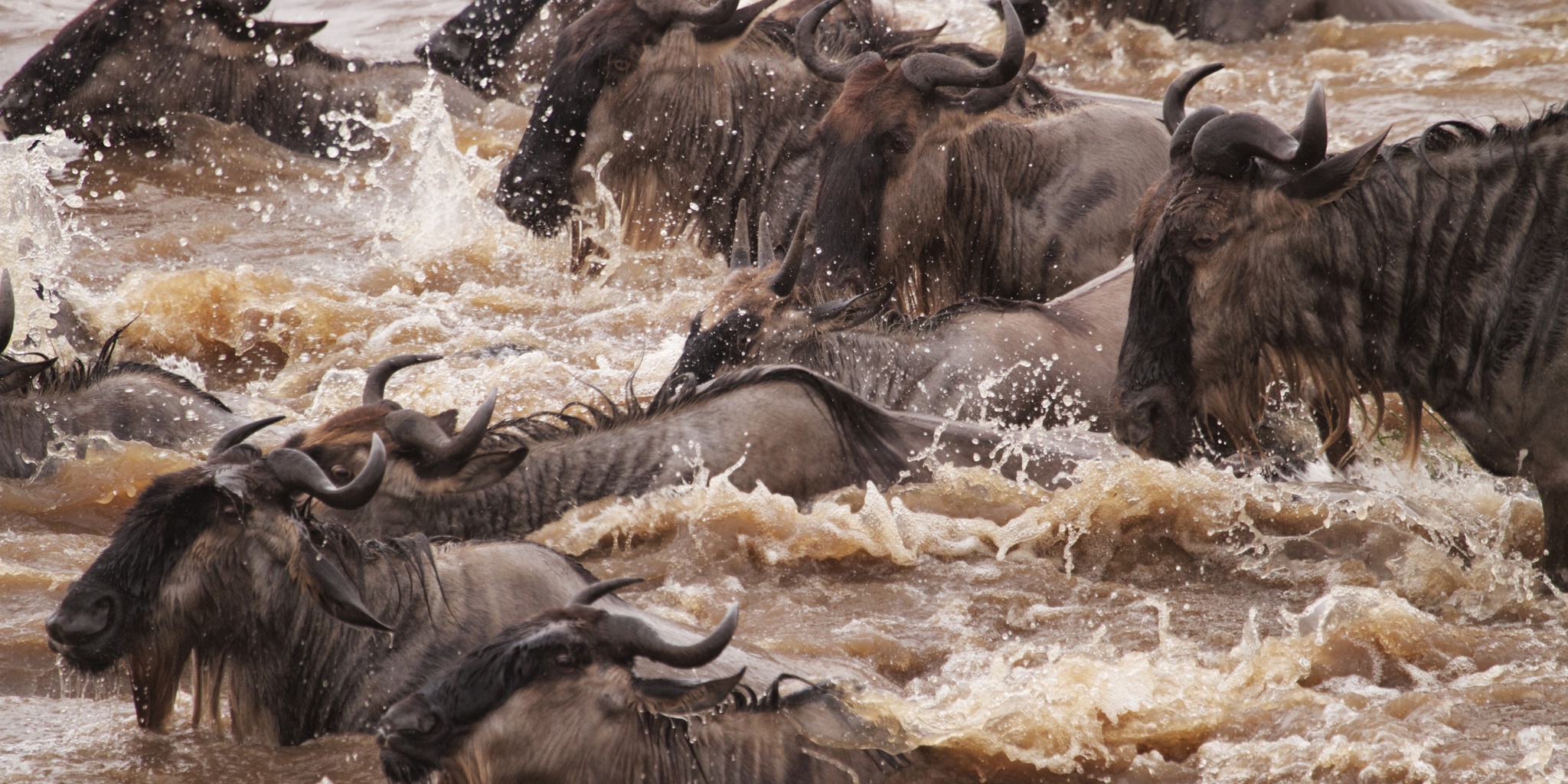 AWS July River crossing