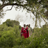 Highlands Ngorongoro guests walking Eliza Deacon 1 HR (1)