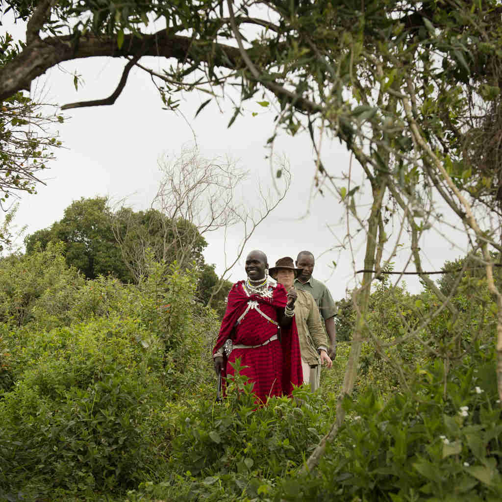 Highlands Ngorongoro guests walking Eliza Deacon 1 HR (1)