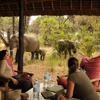 10 Best Value Safaris Africa Safari Lodges Yellow Zebra Safaris