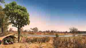 Selinda Exploreres Camp Botswana yellow zebra safaris