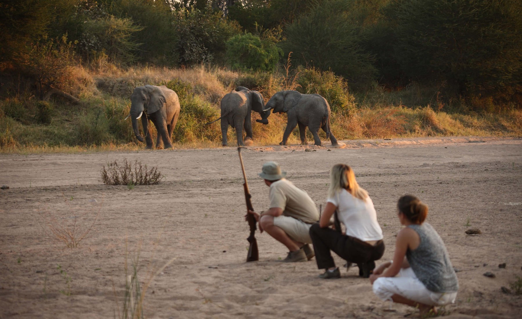 Get upclose and personal with walking safaris at Ruaha