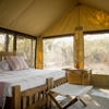Kigelia Ruaha12