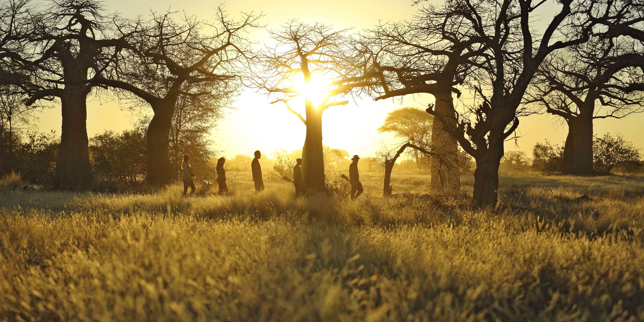Walking safaris in Ruaha National Park, Tanzania