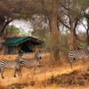 10 Best Value Safaris Africa Safari Lodges Yellow Zebra Safaris