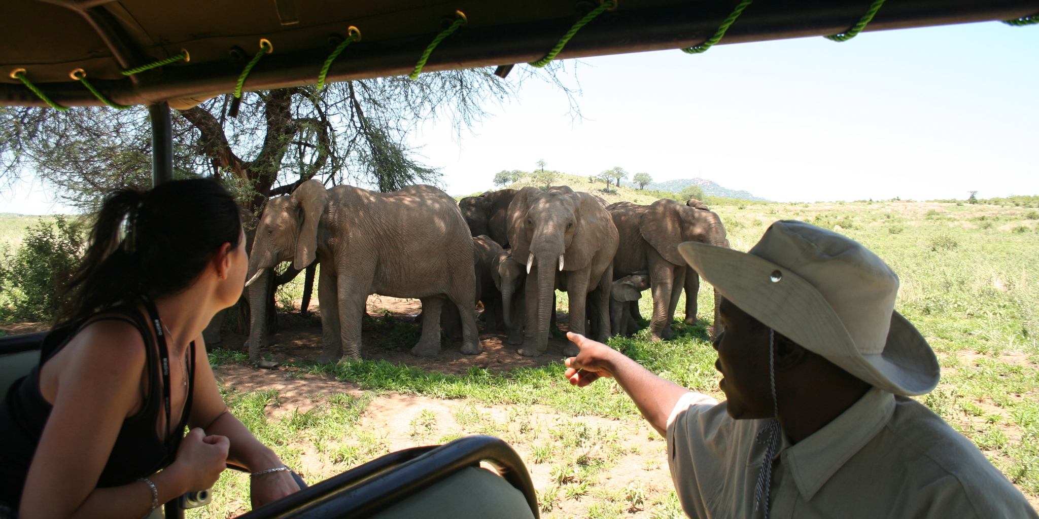 4 Game drive 3