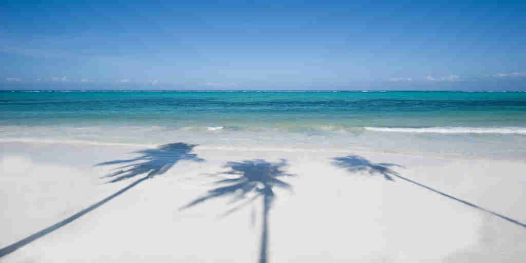Palm trees, white beaches, Zanzibar, Tanzania