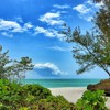 Beach, Pongwe Beach Hotel, Zanzibar, Tanzania