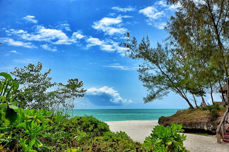 Beach, Pongwe Beach Hotel, Zanzibar, Tanzania